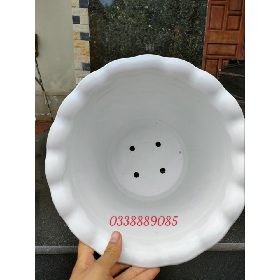 Chậu Nhựa tròn Trồng Cây giả sứ cao cấp hình hoa sen - giống chậu sứ 99%