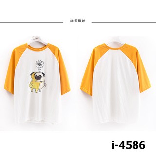 I4586 áo thun tay phôi giá lẻ như sỉ