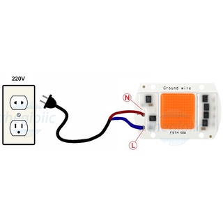 CHÍP LED COB 50W  220V