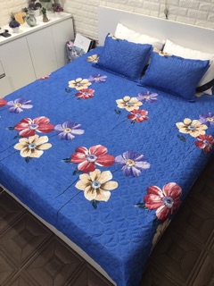 Vỏ chăn ga gối poly cotton TRẦN BÔNG