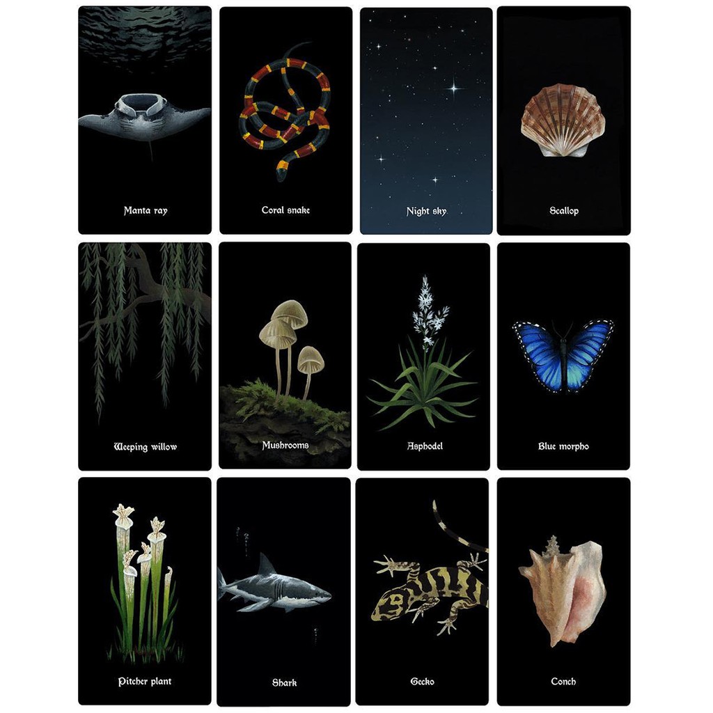 Bộ Bài Nocturna Oracle (Mystic House Tarot Shop) - Bài Gốc Authentic Chính Hãng 100%