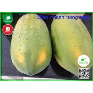 Đu đủ vàng đà lạt, tươi ngon có 2 loại trái chín mềm và trái xanh cứng, rau củ tươi giao hàng nhanh hcm