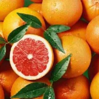 Cây giống cam cara ruột đỏ