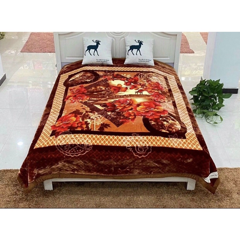 Chăn băng lông tuyết nhung Thái siêu ấm xịn xò 3kg 4kg 5kg