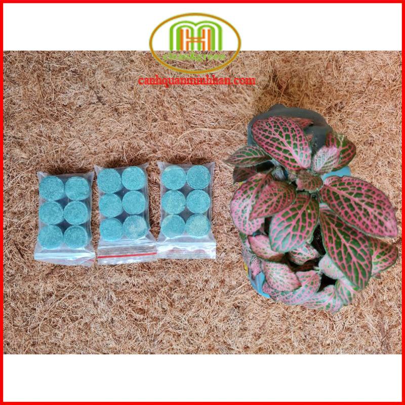 Phân bón sen súng NPK 16 16 8 TE gói 6 viên cho cây thủy sinh và cây ngập nước rễ khỏe, thân mập, lá xanh.