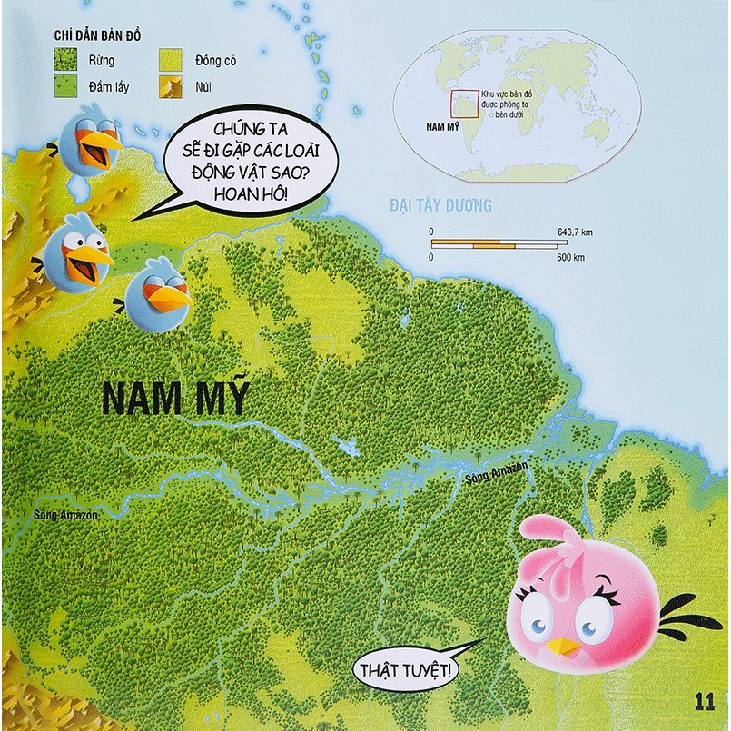 Sách - Angry Birds - Bách Khoa Toàn Thư Về Rừng Mưa Nhiệt Đới