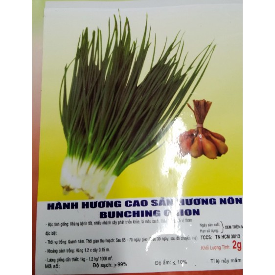 HẠT GIỐNG HÀNH LÁ GỐC TRẮNG HÀNH HƯƠNG CAO SẢN - GÓI 2 GRAM