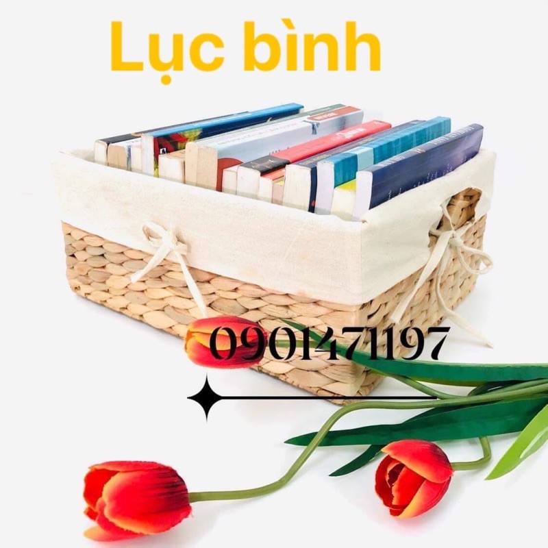 KHAY CÓI, LỤC BÌNH