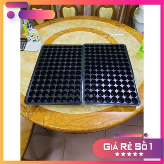 Khay ươm hạt gống 104 lỗ