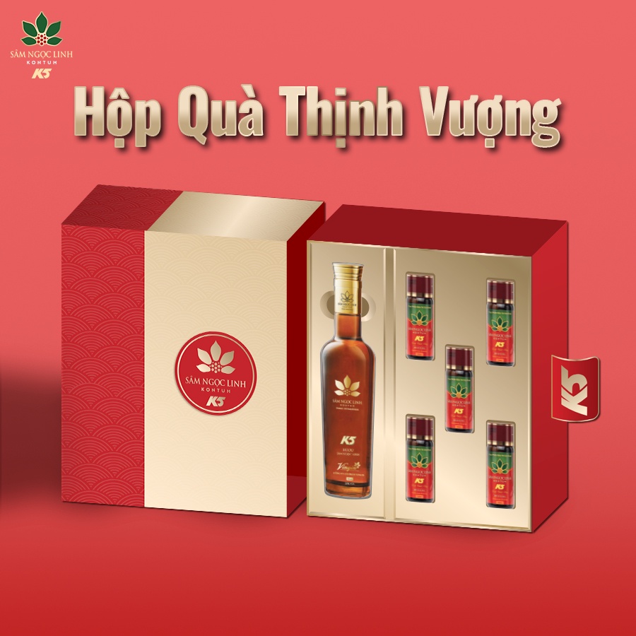 [Quà Tết] Hộp Quà Thịnh Vượng - Sâm Ngọc Linh Kon Tum K5 Chính Hãng