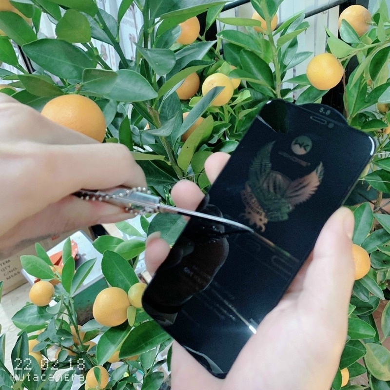 Kính cường lực WK iPhone X ,Xmax ,XR,ip11,12,13 chống nhìn trộm