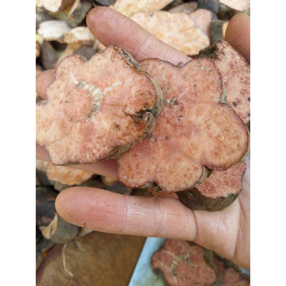 Hà Thủ Ô Tươi 2 kg