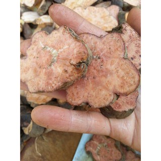 Hà Thủ Ô Tươi 2 kg