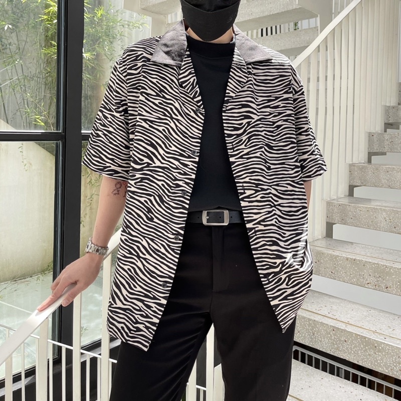 Pija vằn phối cổ đen