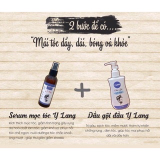 Dầu gội và serum kích mọc tóc ylang