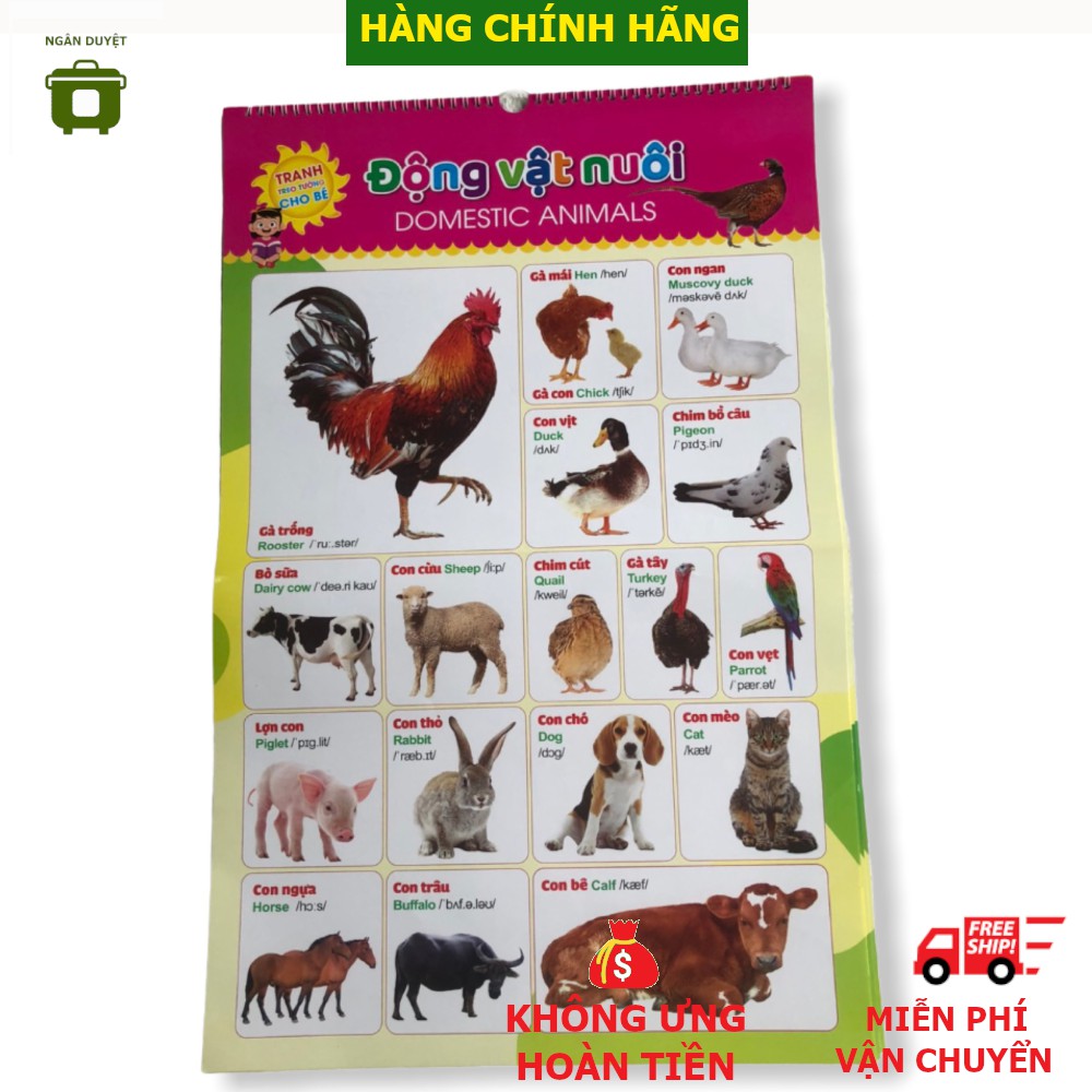 Tranh Treo Tường Cho Bé In Màu 12 Chủ Đề Học Song Ngữ Việt - Anh - Giầy dày, In bóng, bền, chính hãng NXB Hà Nội