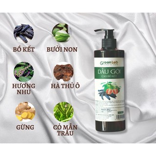 Dầu gội bồ kết -Dầu gội đầu thảo dược ngăn rụng tóc ,nấm, ngứa an toàn cho phụ nữ mang thai GREENLAB-500ml