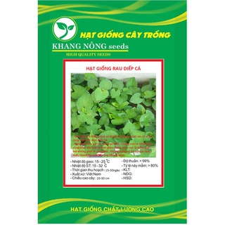 Hạt giống rau diếp cá kns3695 - gói 50 hạt