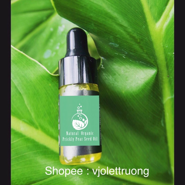 DẦU HẠT XƯƠNG RỒNG ORGANIC ÉP LẠNH HBNO - Prickly Pear Seed Oil - Dầu dưỡng cho da dầu