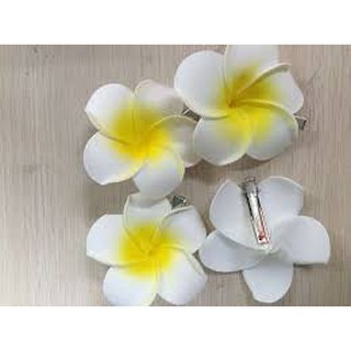 Hoa Đại Cài Tóc Siêu Xinh