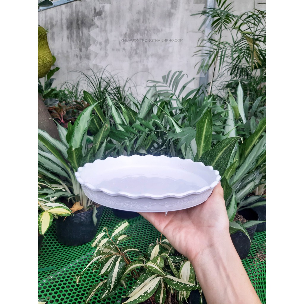 Dĩa lót chậu nhựa 15cm