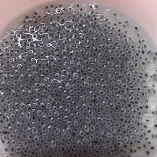 Hạt é sạch loại 1 { 1kg }