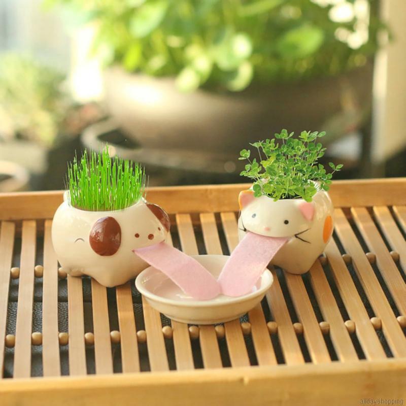 Desk Flower Pot Automatic Watering Flower Pot