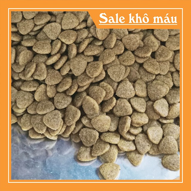 [RẺ NHẤT TOÀN QUỐC] Gói hạt CATSRANG dùng thử 50g cho mèo con - Bobo Petshop Phụ Kiện Thú Cưng Hà Nội