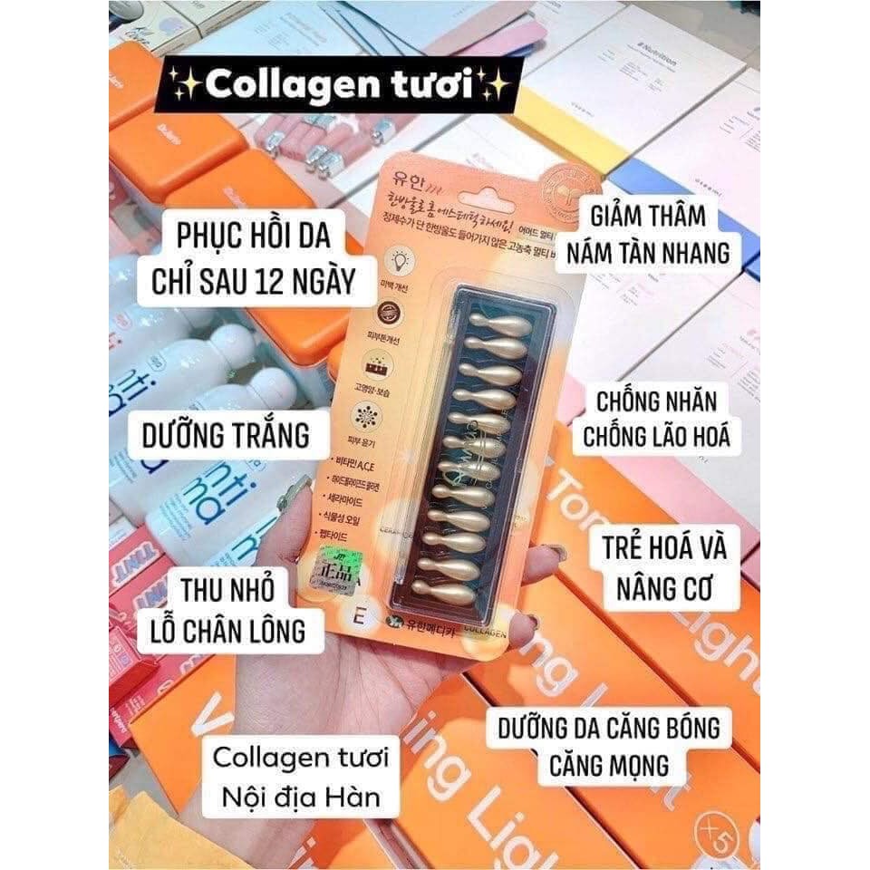[Chính Hãng] Collagen Tươi Chống Lão Hóa Tinh Chất Collagen Tươi Ammud Multi Vita Ampoule