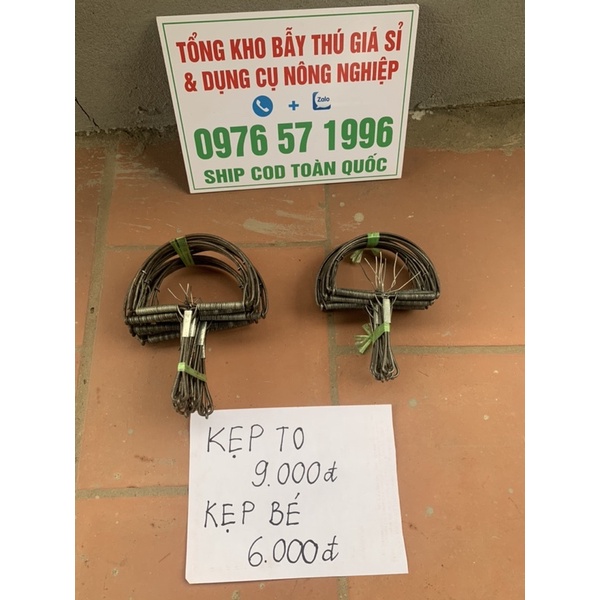 Kẹ.p Bán Nguyệt Loại Bé