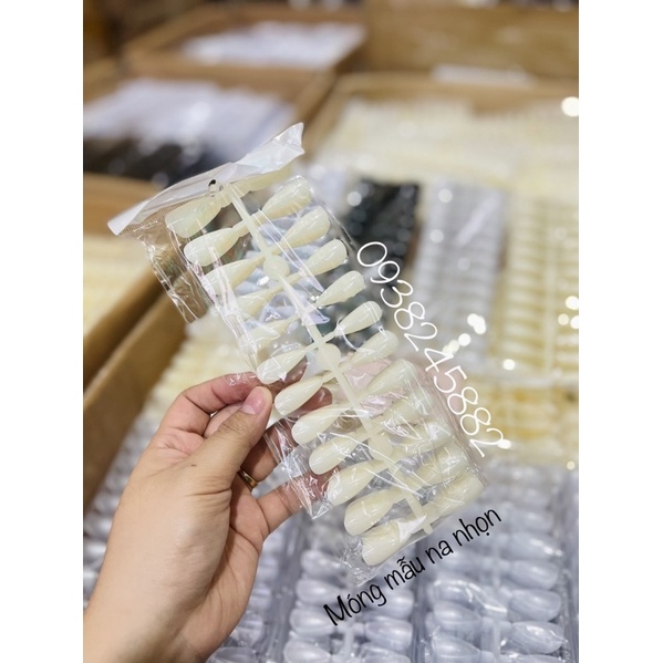 Móng mẫu tròn nhọn hạt na bich 240 móng