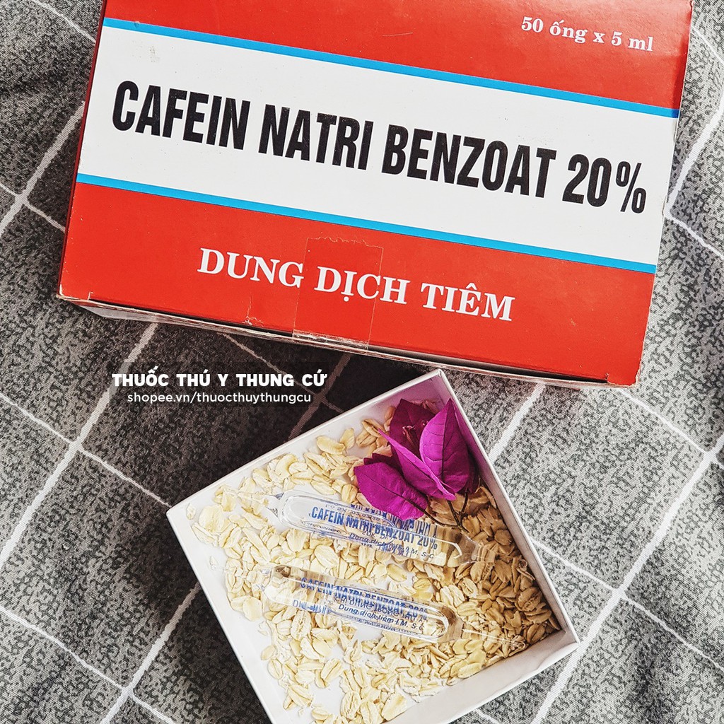 Cafein Natri Benzoat 20% ống 5ml - Tiêm trợ tim, nhiễm độc chó trâu bò lợn dê cừu ngựa gia súc