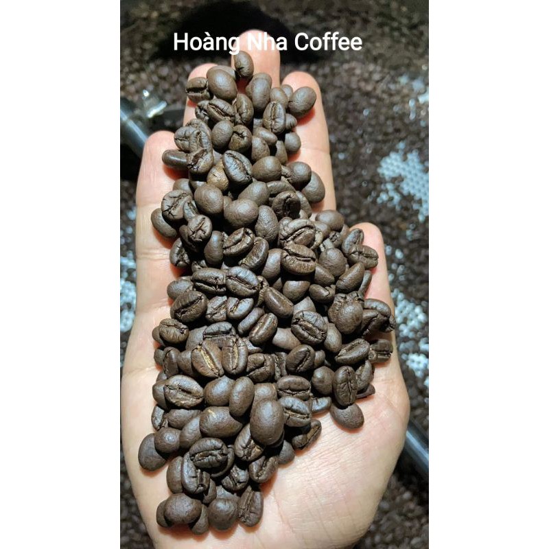 Cà phê Robusta túi 250gr Rang mộc, pha máy / pha phin, Đắng truyền thống, Thơm dịu, hậu Ngọt nhẹ, HOÀNG NHA COFFEE | BigBuy360 - bigbuy360.vn