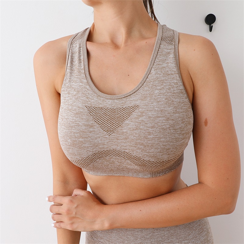 Áo Ngực Thể Thao Bằng Nylon Thấm Hút Mồ Hôi Chống Sốc B0264