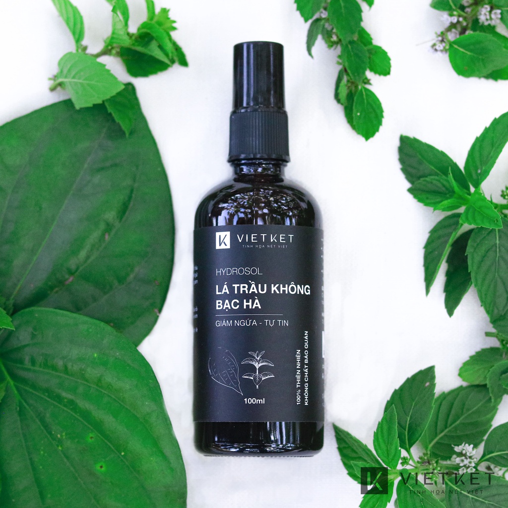 Hydrosol lá trầu không bạc hà