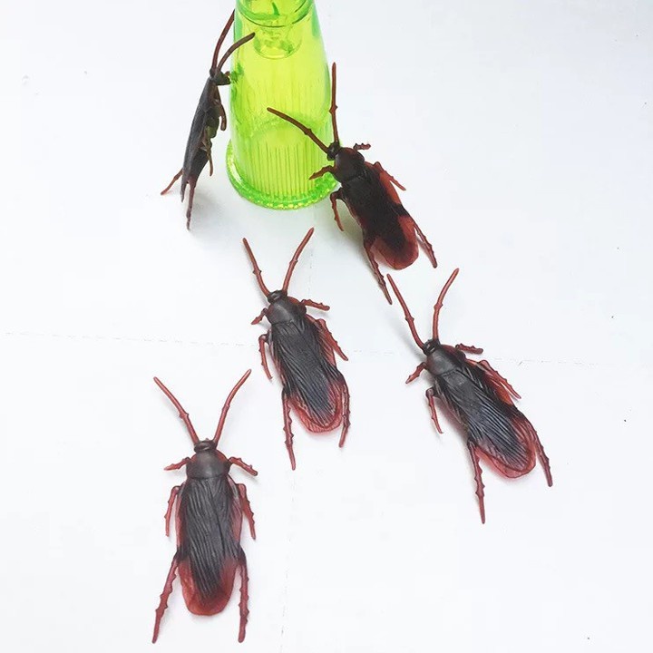 Gián đồ chơi cho chó mèo - 1 con