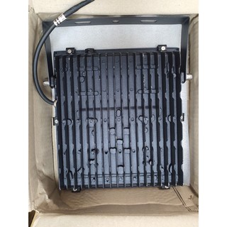 Đèn Pha LED 100W D CP06L 100W - Rạng đông