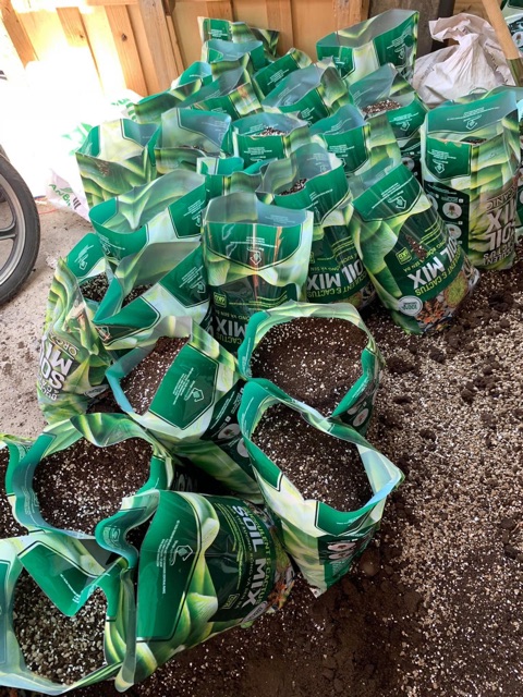 Giá thể Soilmix đất trồng sen đá siêu thoát nước chất lượng uy tín