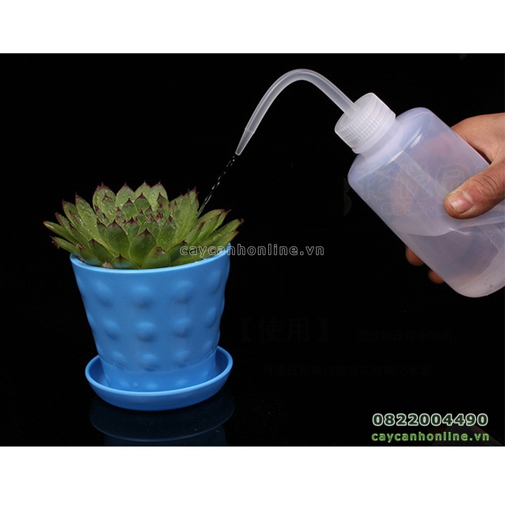 Bình tưới sen đá xương rồng cây cảnh mini để bàn tiểu cảnh