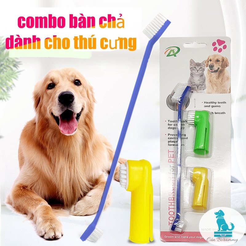 Bàn chải đánh răng cho chó mèo - bộ đánh răng cho thú cưng