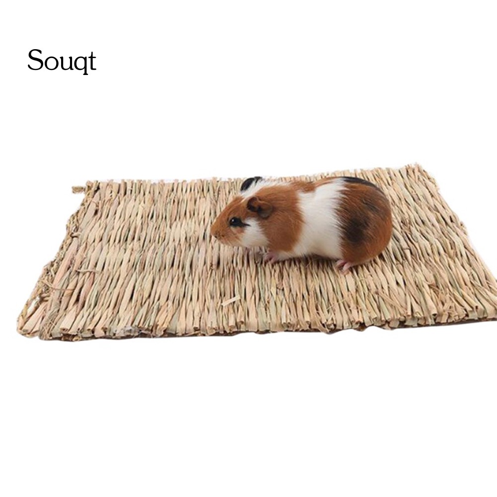 Thảm Đan Rơm Cho Thú Cưng