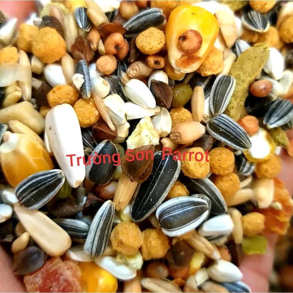 Hạt trộn cao cấp WITTE MOLEN COUNTRY dành cho vẹt xám, sun, xích, vẹt size trung và size lớn của Hà Lan