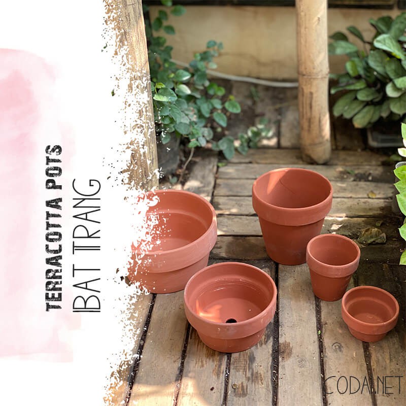 Chậu đất nung trồng cây cảnh, Bonsai Terracotta pots BatTrang (Trắng, Nâu, Cao, Thấp) hàng Bát Tràng