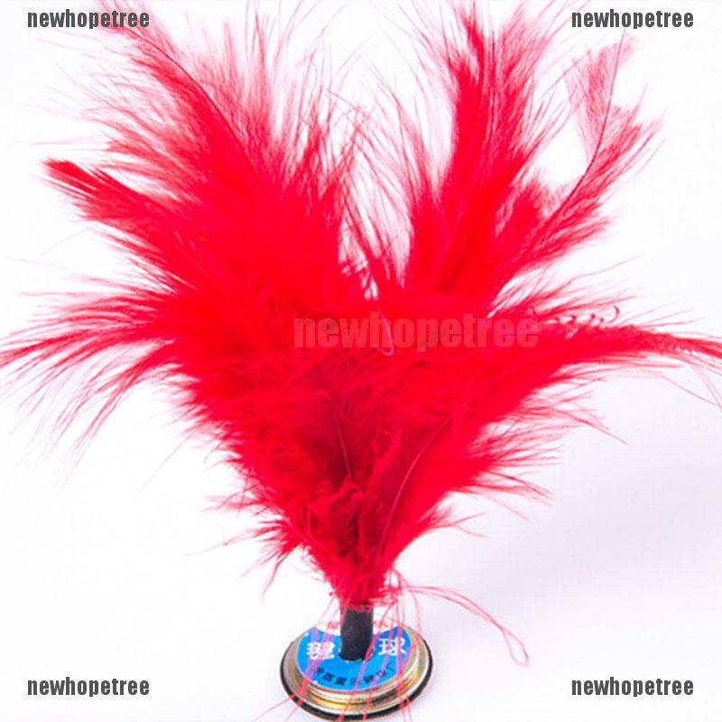 Cầu đá lông sặc sỡ