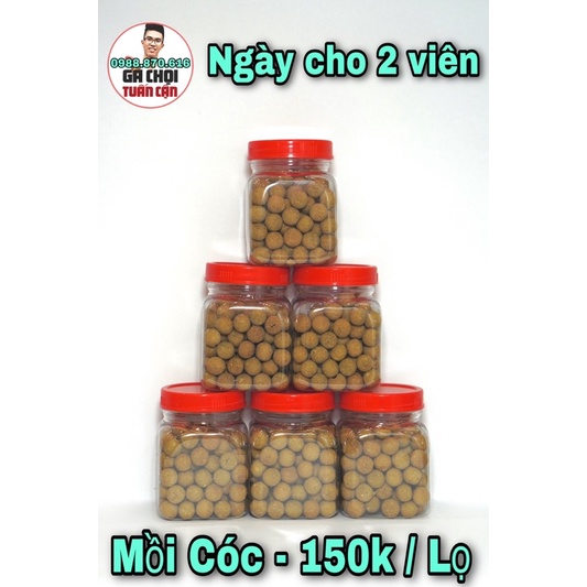 Côm Bô Gà Chiến Sung Khoẻ