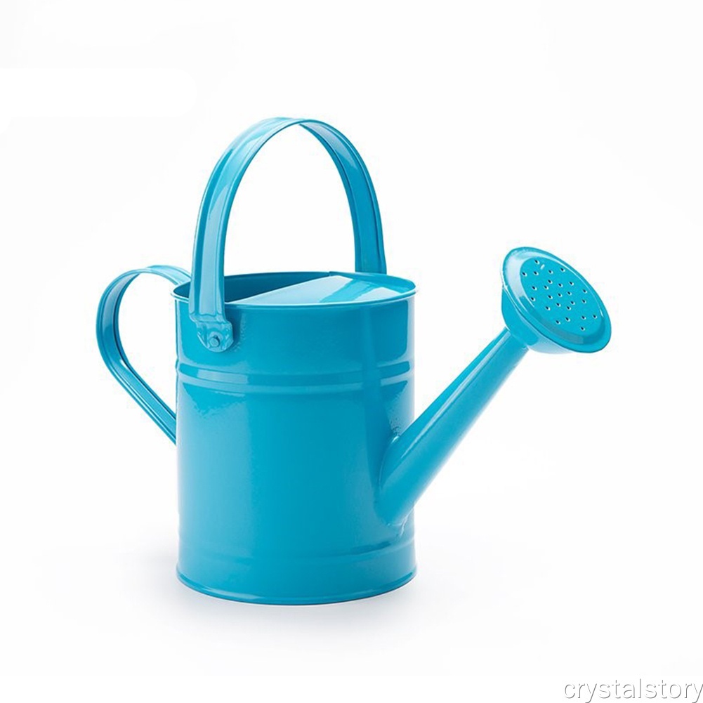 Bình tưới cây bằng sắt dung tích 1.5L