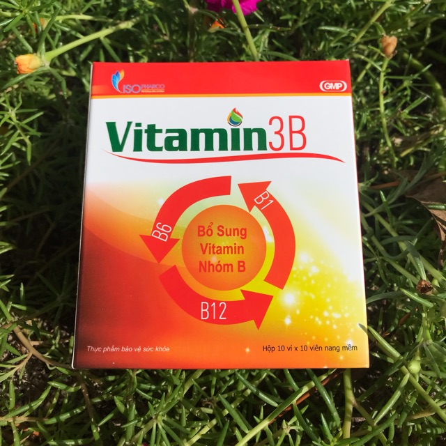 VITAMIN 3B