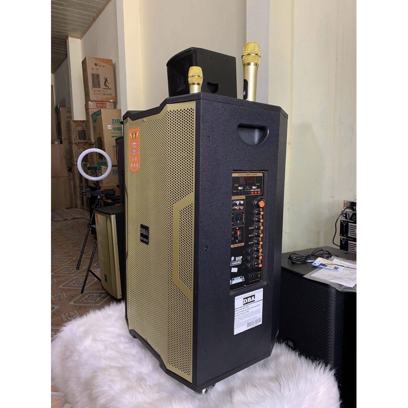 Loa Kéo Di Động DBA 1208 (bas 3 tấc, 2 micro)