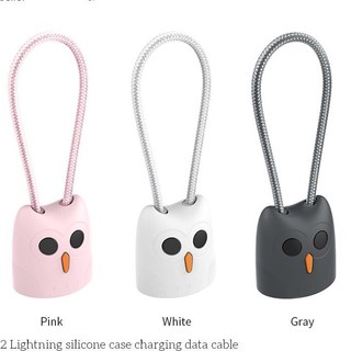 CÁP SẠC LIGHTNING HOCO KX2