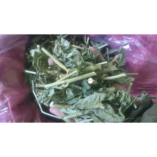 CÂY XƯƠNG KHỈ KHÔ ( BÌM BỊP 1KG)